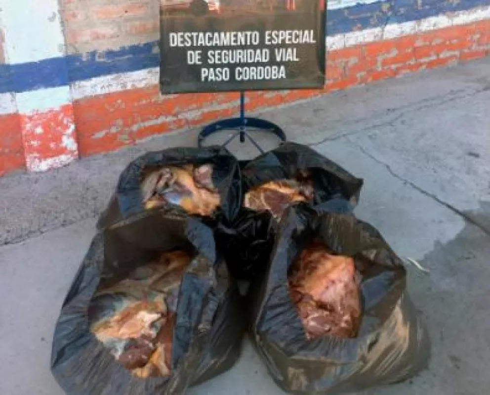 Decomisan 50 kilos de carne de caballo en Paso Cordoba