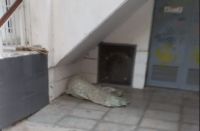 Un hombre duerme en la puerta de telefonica en Roca